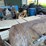 miller-bobcat-250nt-image-33