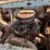 1973-ford-f100-image-5