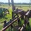 #52693-•-sprayrite-10-row-30"-cultivator-inv#52693-image-65