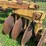#52689-•-rome-twa824-tandem-levee-plow-w/-h&h-hich-8twa1267-inv#52689-image-27