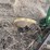 john-deere-pull-type-two-bottom-plow-image-18