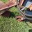 #52693-•-sprayrite-10-row-30"-cultivator-inv#52693-image-10