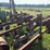 #52693-•-sprayrite-10-row-30"-cultivator-inv#52693-image-61