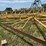 #52659-•-16'x50'-land-plane-18011650-inv#52659-image-37