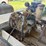 miller-bobcat-250nt-image-21