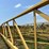 ward-18x70-image-40