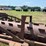 #52670-•-20'-stubble-roller-inv#52670-image-15