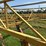 ward-18x70-image-83