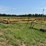 #52659-•-16'x50'-land-plane-18011650-inv#52659-image-2