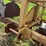 #52684-•-poly-pipe-layer-413-inv#52684-image-21