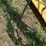 ward-18x70-image-73