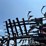 #52663-•-case-200-34'-field-cultivator-jfh0044993-inv#52663-image-74