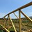 ward-18x70-image-91