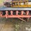 homemade-16”x55’-conveyor-image-13
