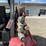 2017-takeuchi-tl8-image-11