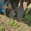 #52686-•-pfm-pto-ditcher-400-392-inv#52686-image-16