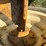 proctor-16-image-7