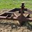 #52685-•-8'-levee-smoother-inv#52685-image-15