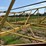 ward-18x70-image-94