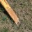 ward-18x70-image-71