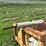 #52684-•-poly-pipe-layer-413-inv#52684-image-26