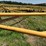 #52659-•-16'x50'-land-plane-18011650-inv#52659-image-51