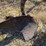 john-deere-pull-type-two-bottom-plow-image-16
