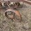 john-deere-pull-type-two-bottom-plow-image-9
