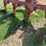 case-ih-165-image-9