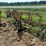 #52684-•-poly-pipe-layer-413-inv#52684-image-1
