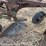 john-deere-pull-type-three-bottom-plow.-image-16