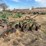 john-deere-no.-55-a-b-h-pull-type-three-bottom-plow-image-3