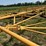 #52659-•-16'x50'-land-plane-18011650-inv#52659-image-58
