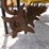 aerway-awst125-image-5