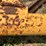 #52659-•-16'x50'-land-plane-18011650-inv#52659-image-70