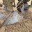 john-deere-pull-type-four-bottom-plow-image-17