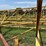 ward-18x70-image-55