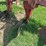 case-ih-165-image-8