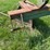 #52677-•-levee-splitter-800574-inv#52677-image-12