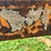 #52683-•-w&a-manufacturing-water-furrow-plow-inv#52683-image-19