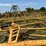 #52659-•-16'x50'-land-plane-18011650-inv#52659-image-31
