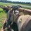 #52690-•-levee-packer-inv#52690-image-19