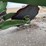 john-deere-three-point-four-bottom-plow-image-15