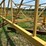ward-18x70-image-93