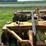 #52689-•-rome-twa824-tandem-levee-plow-w/-h&h-hich-8twa1267-inv#52689-image-18