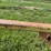 #52687-•-allen-mfg-water-furrow-plow-am326113-inv#52687-image-11
