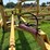 ward-18x70-image-108