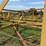 ward-18x70-image-56