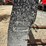 bobcat-48"-hd-skid-steer-forks-image-5