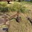 john-deere-7-image-3
